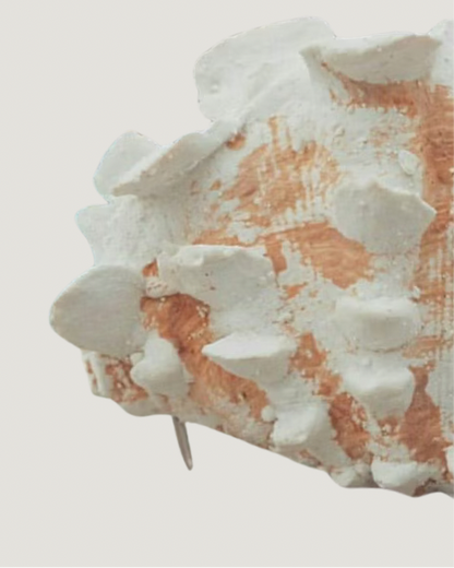 SCALLOP SHELL PURSE